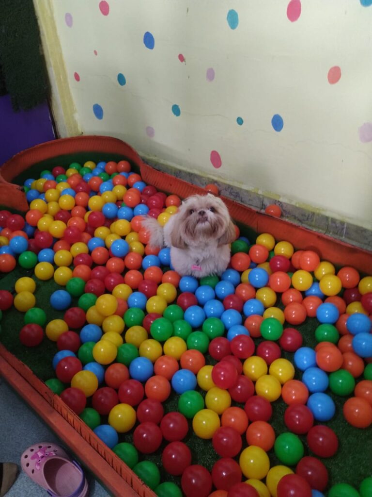 WhatsApp Image 2025-10-17 at 12.42.51