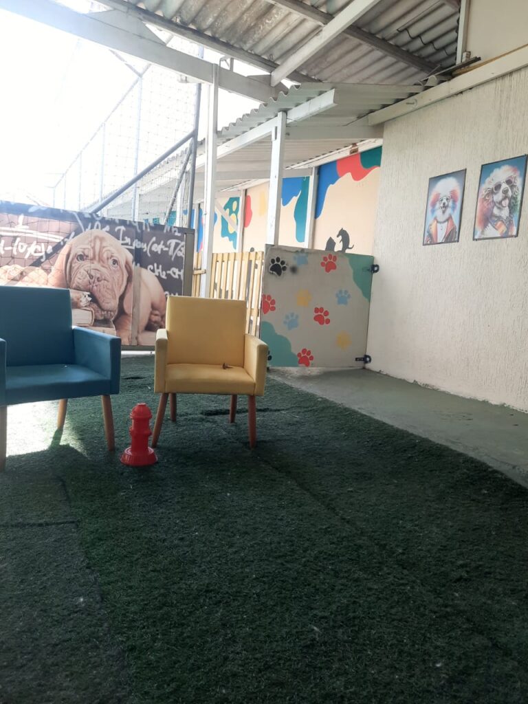 WhatsApp Image 2025-10-17 at 12.42.58 (1)