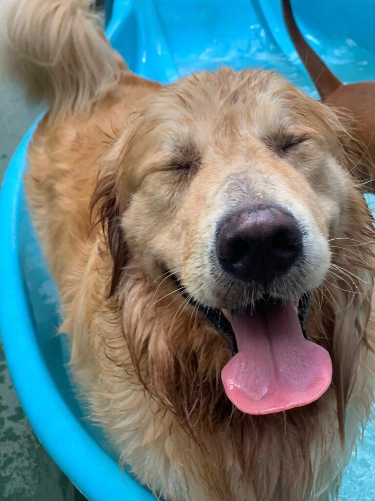 WhatsApp Image 2025-10-17 at 14.00.59