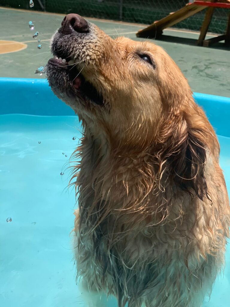 WhatsApp Image 2025-10-17 at 14.01.04