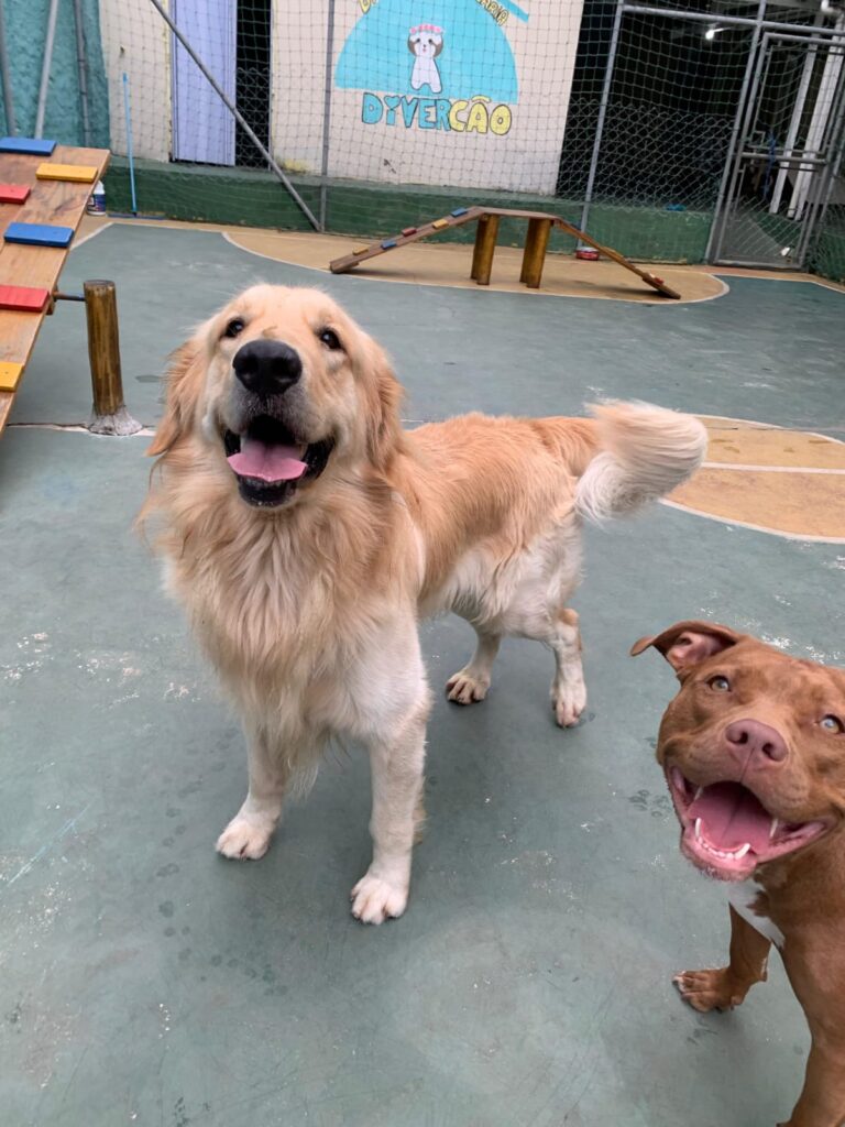 WhatsApp Image 2025-10-17 at 14.01.11 (3)