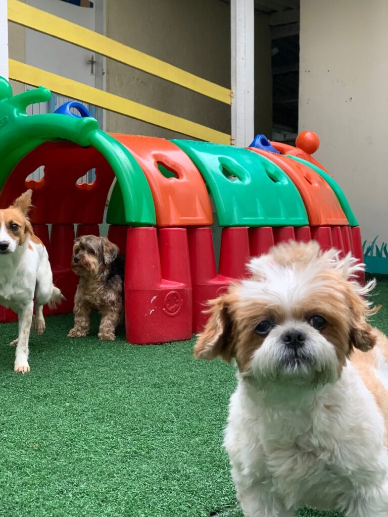 WhatsApp Image 2025-10-17 at 14.01.12 (2)