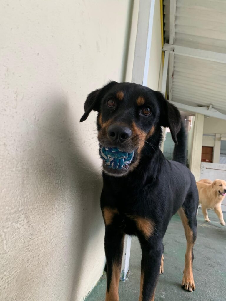 WhatsApp Image 2025-10-17 at 14.01.13 (1)