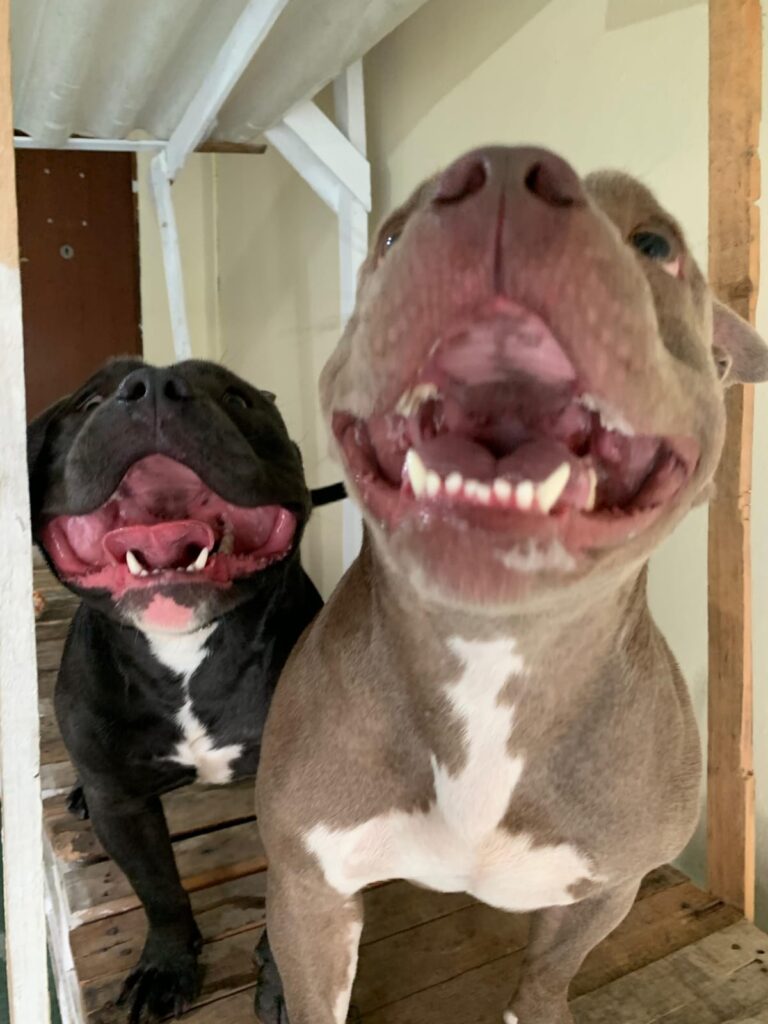 WhatsApp Image 2025-10-17 at 14.01.13 (2)