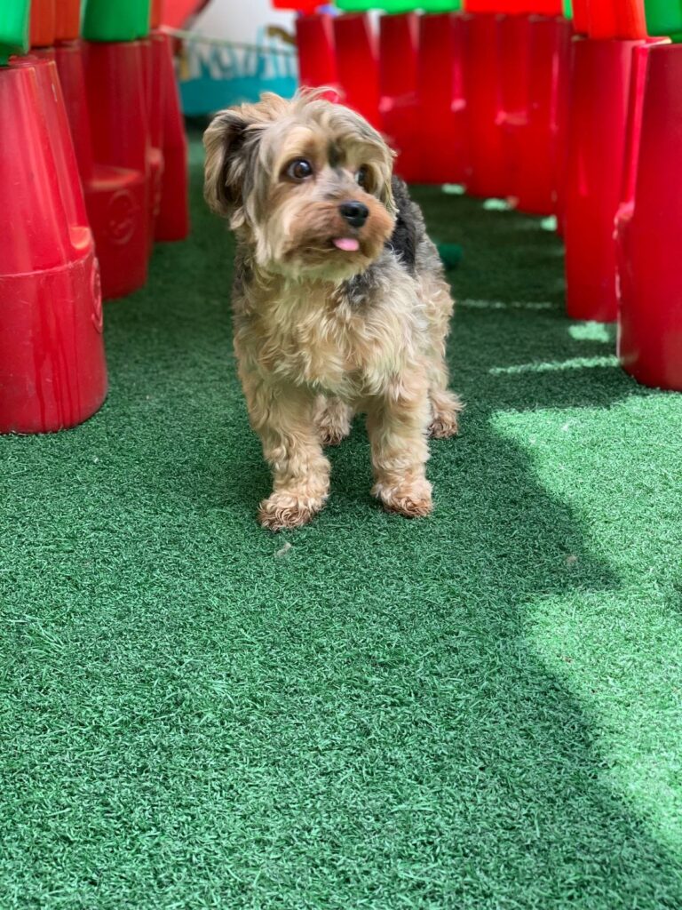 WhatsApp Image 2025-10-17 at 14.01.14 (3)