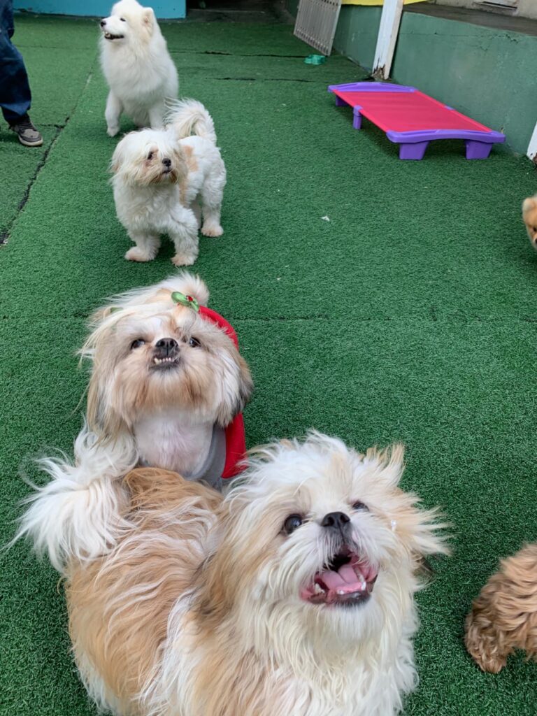 WhatsApp Image 2025-10-17 at 14.01.17 (2)