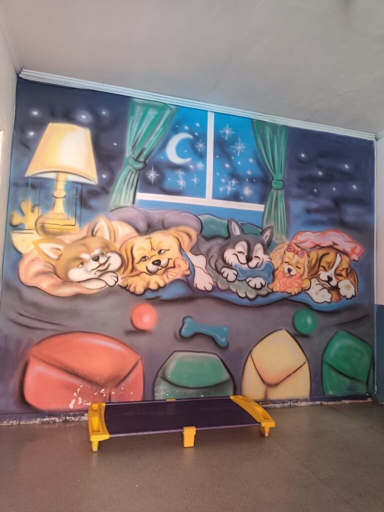 IMG_20260716_123442.jpg